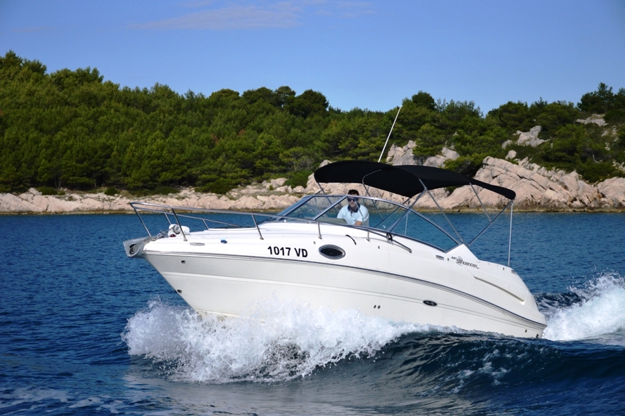 Immagine Sea Ray 240 Sundancer