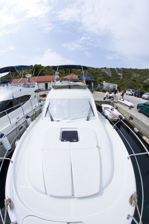 Immagine Starfisher 34