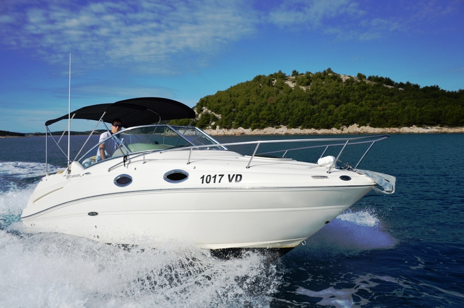 Immagine Sea Ray 240 Sundancer