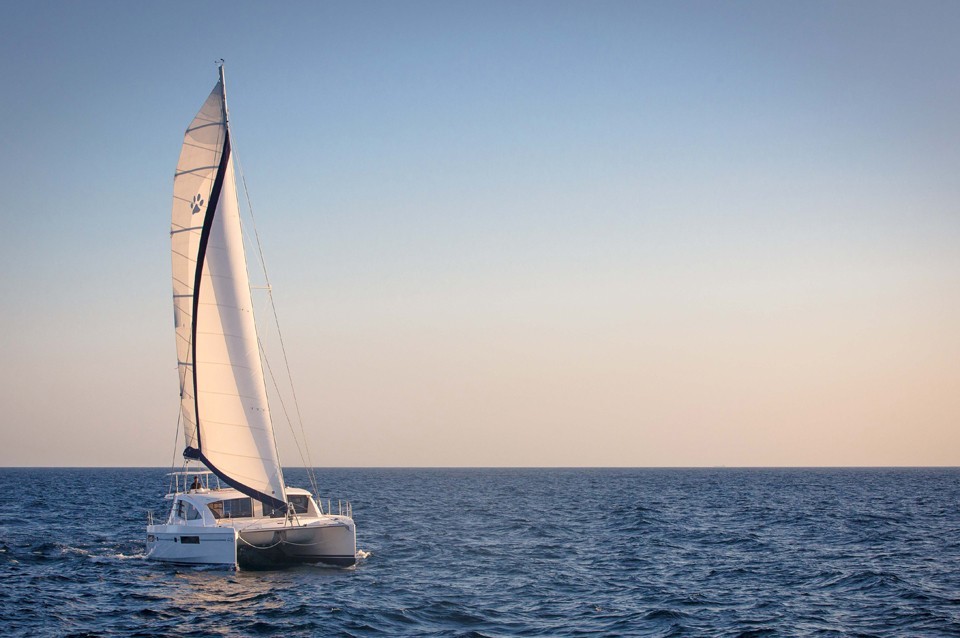 Immagine Leopard 48