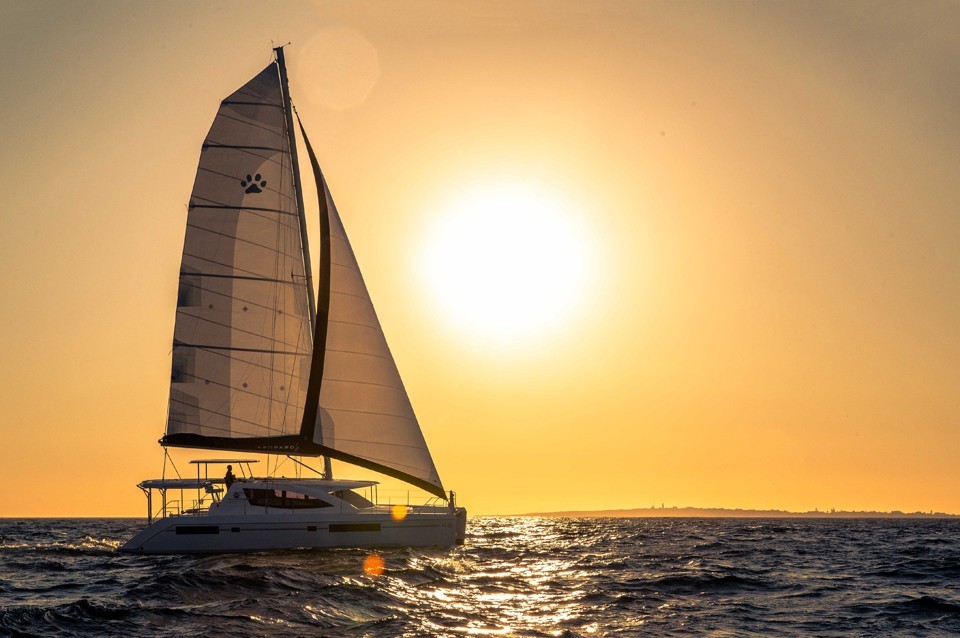Immagine Leopard 48