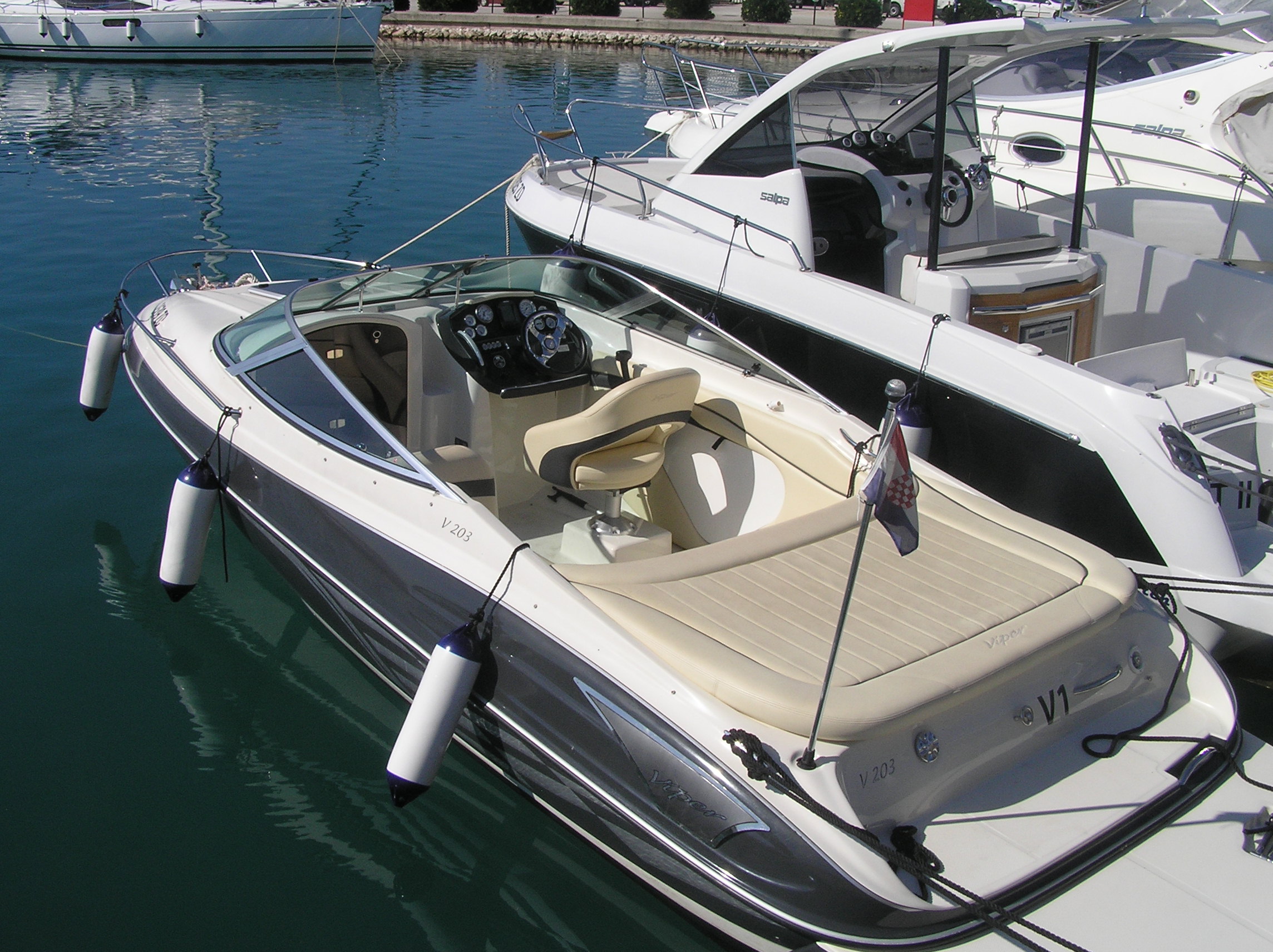 Immagine Viper 203