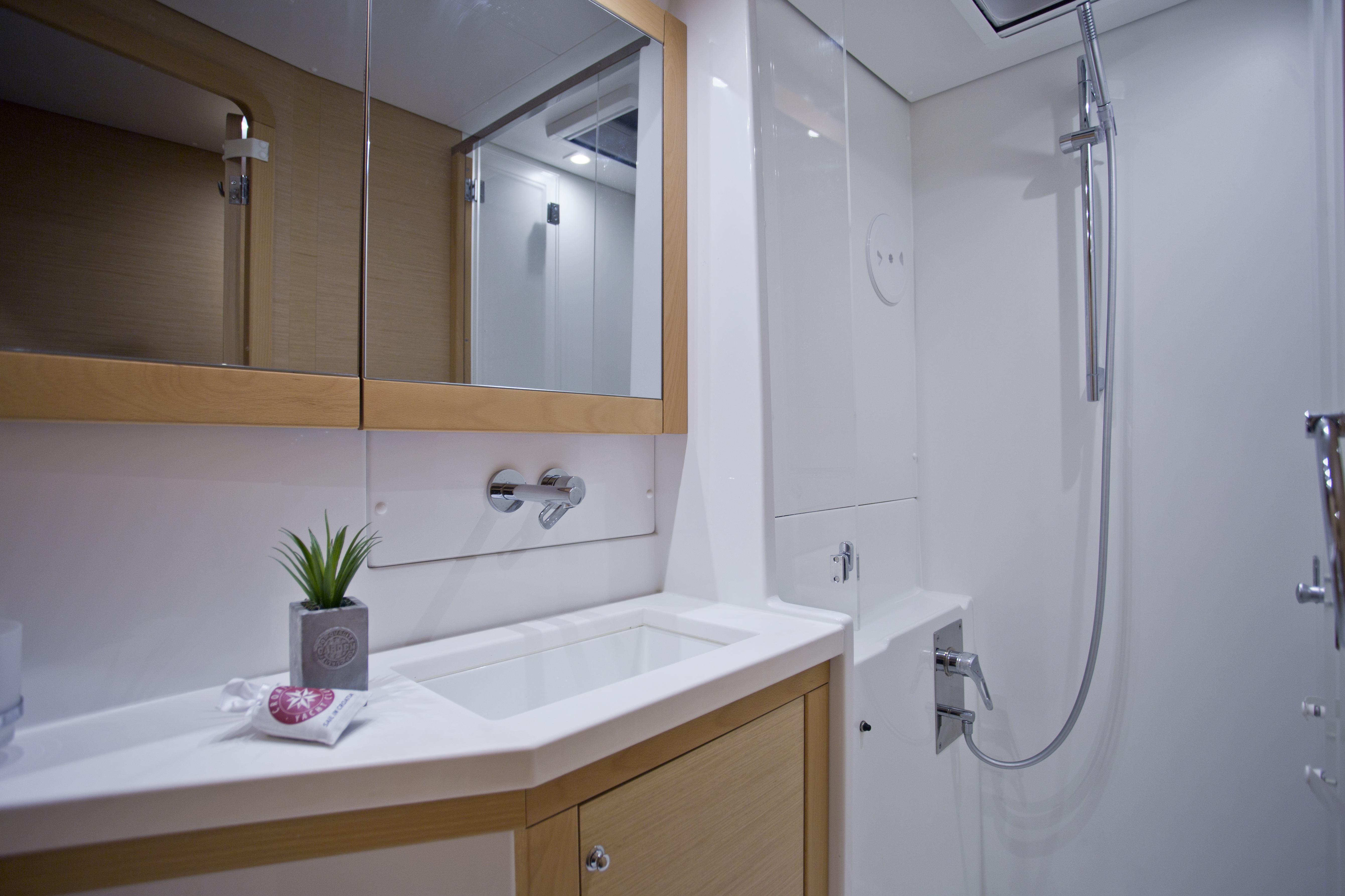 Immagine Lagoon 450
