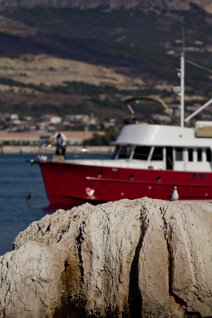 Immagine Beneteau Trawler 42 