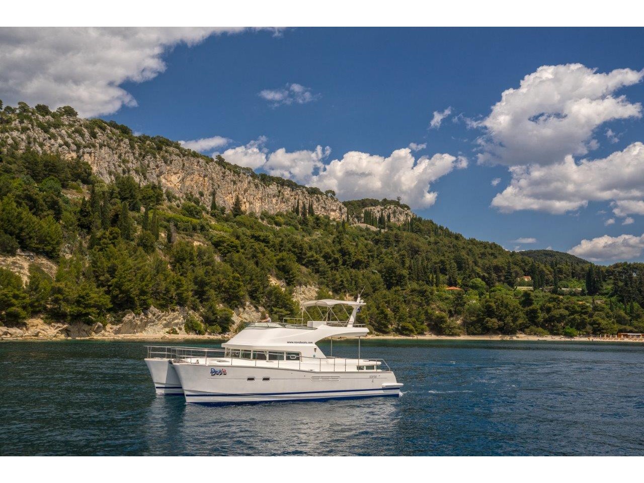 Immagine Lagoon power 44  