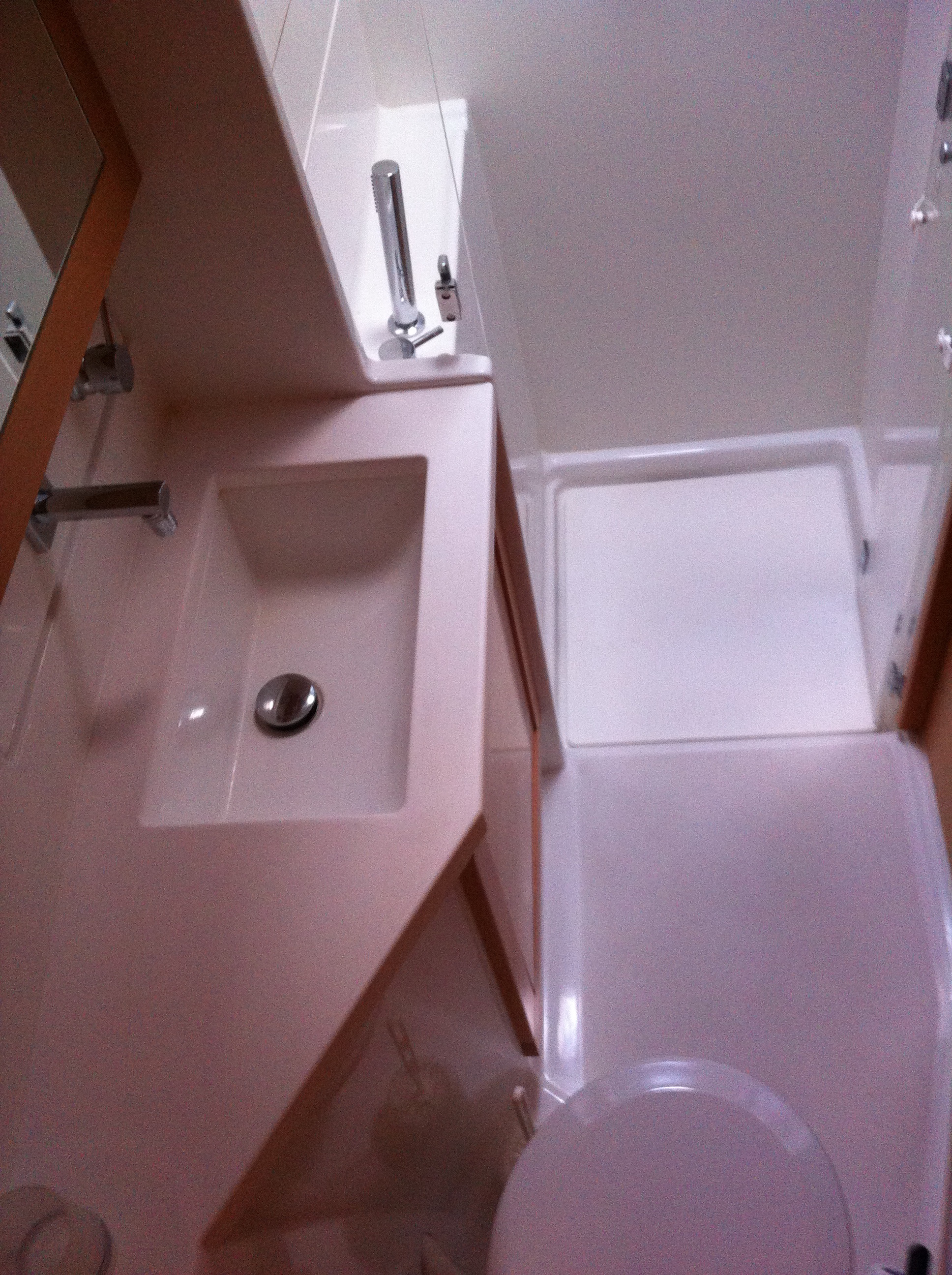 Immagine Lagoon 450
