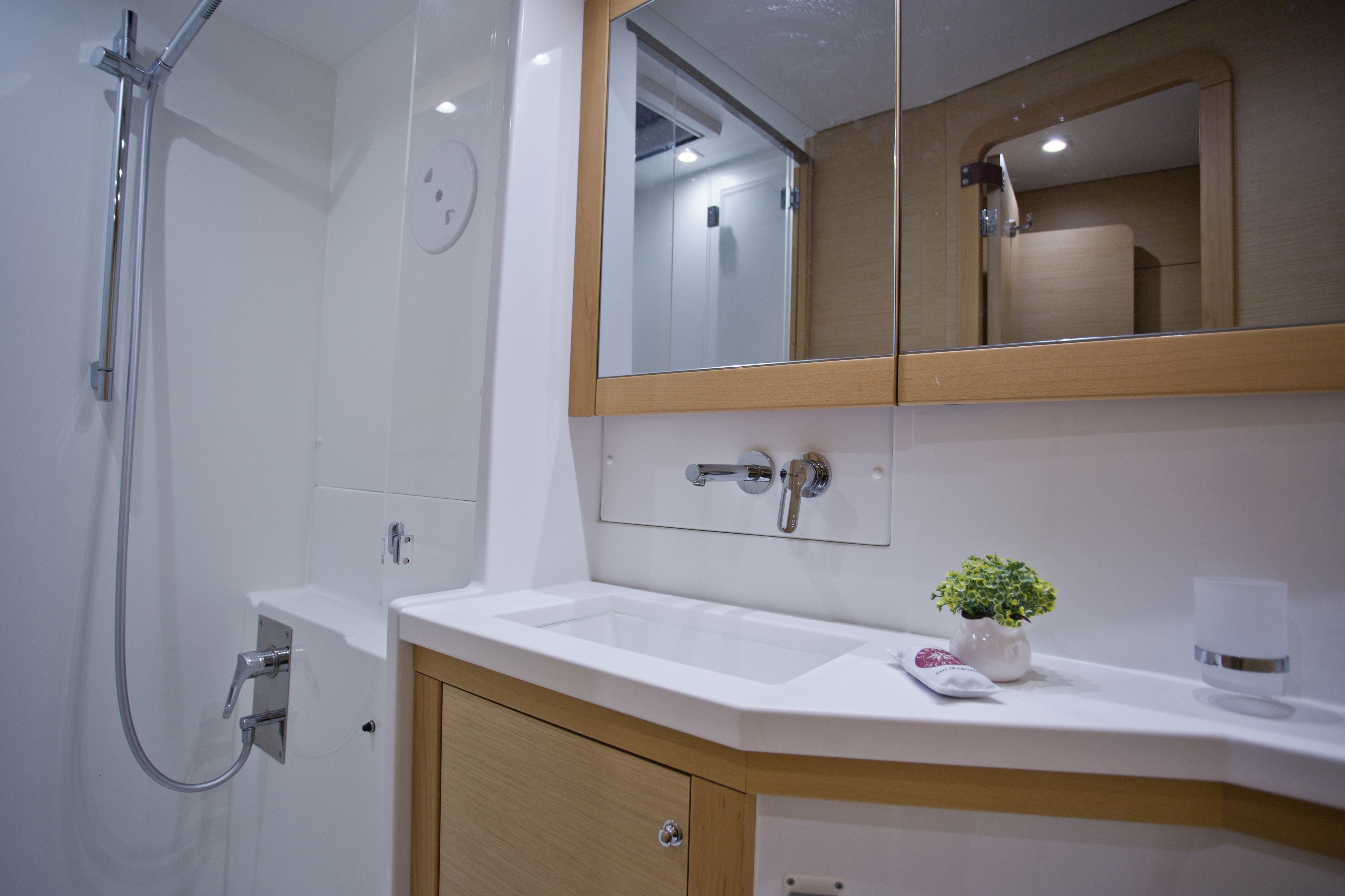 Immagine Lagoon 450