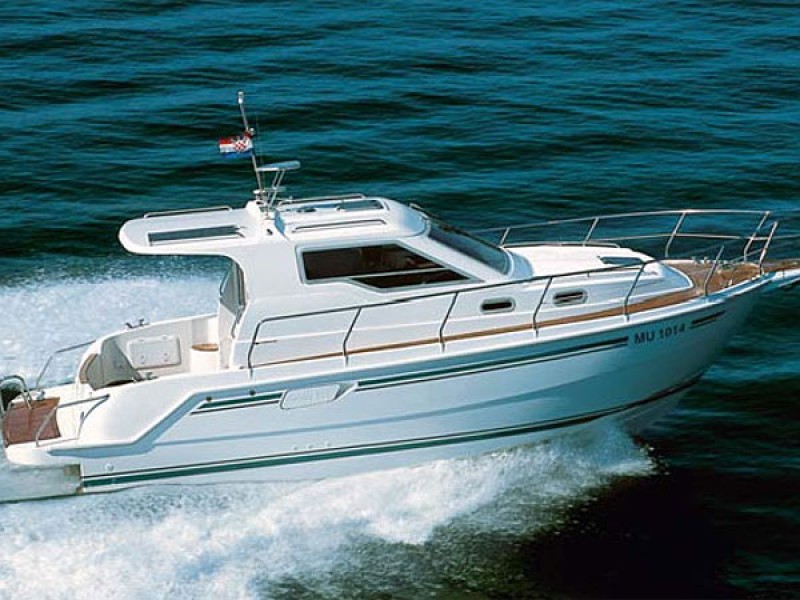 Immagine Vektor 950