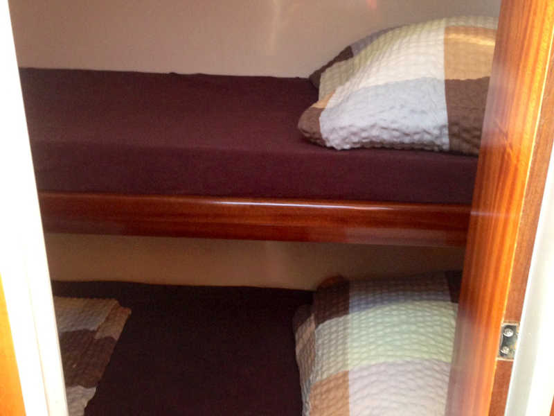 Immagine Vektor 950