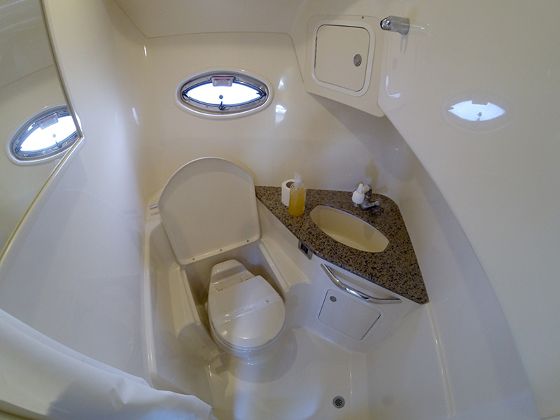 Immagine Sea Ray 455