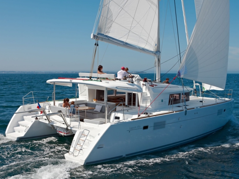Immagine Lagoon 450  Flybridge
