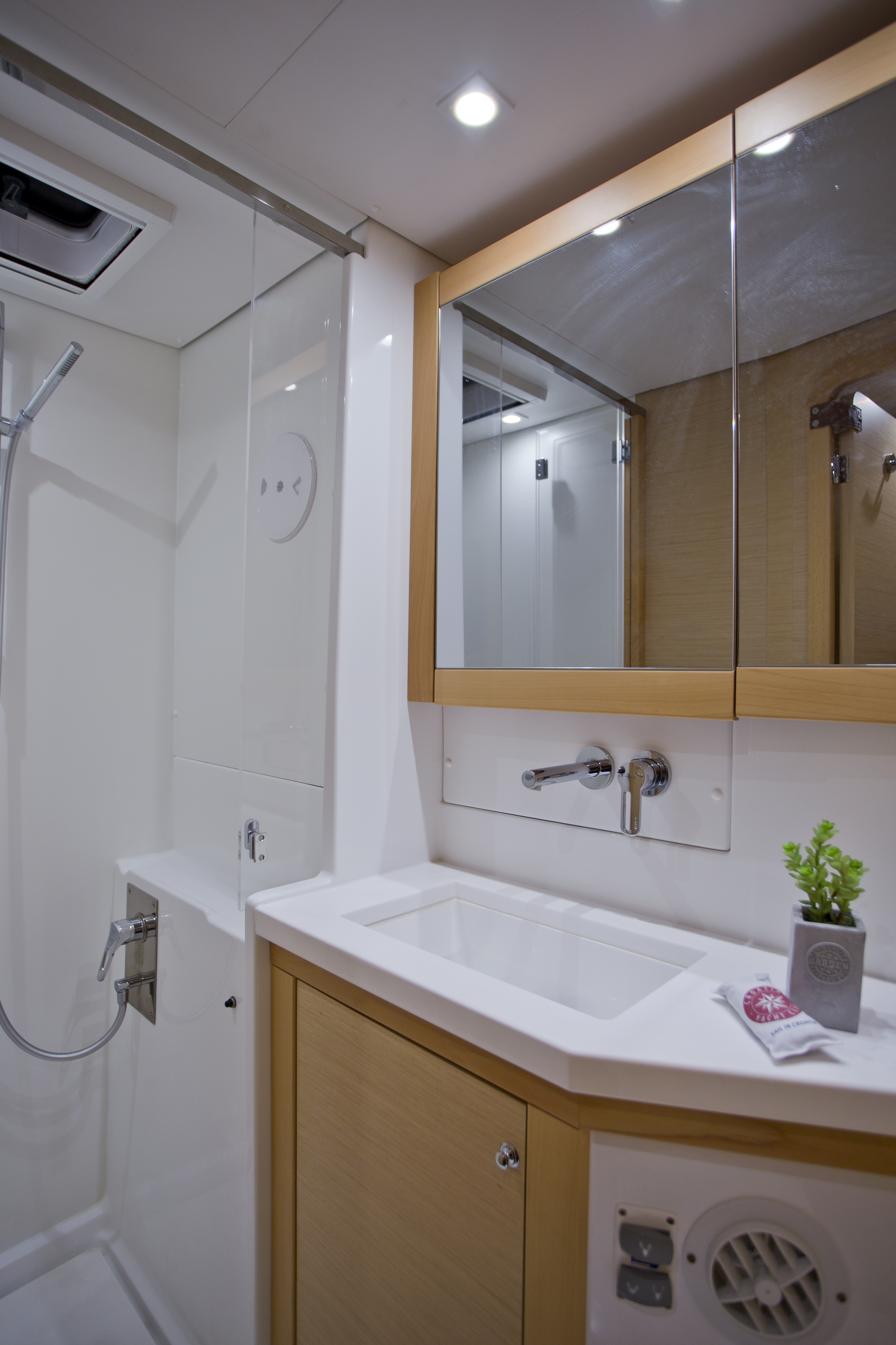 Immagine Lagoon 450