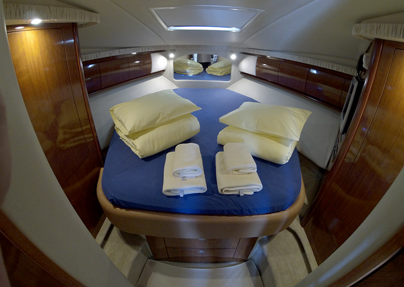 Immagine Sea Ray 455