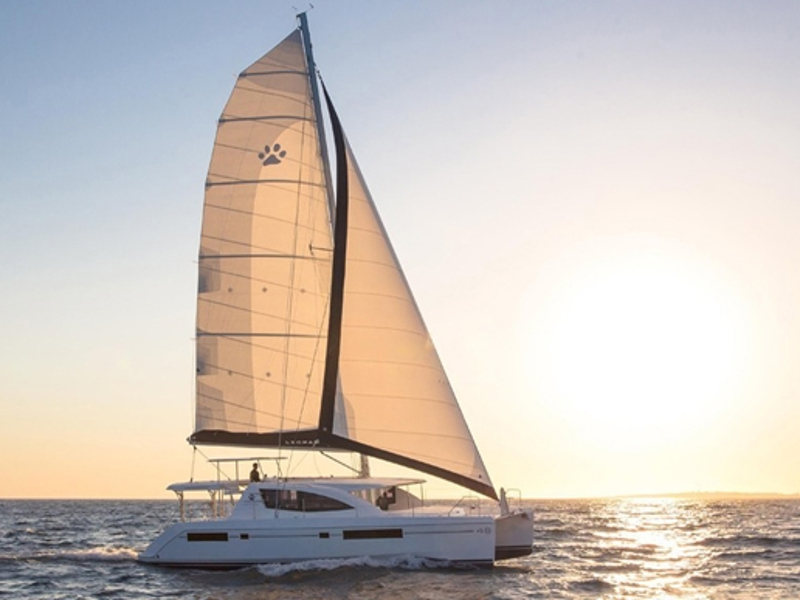 Immagine Leopard 48